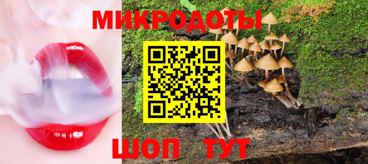 Псилоцибиновые грибы MAGIC MUSHROOMS  Вход с VPN  Евпатория 