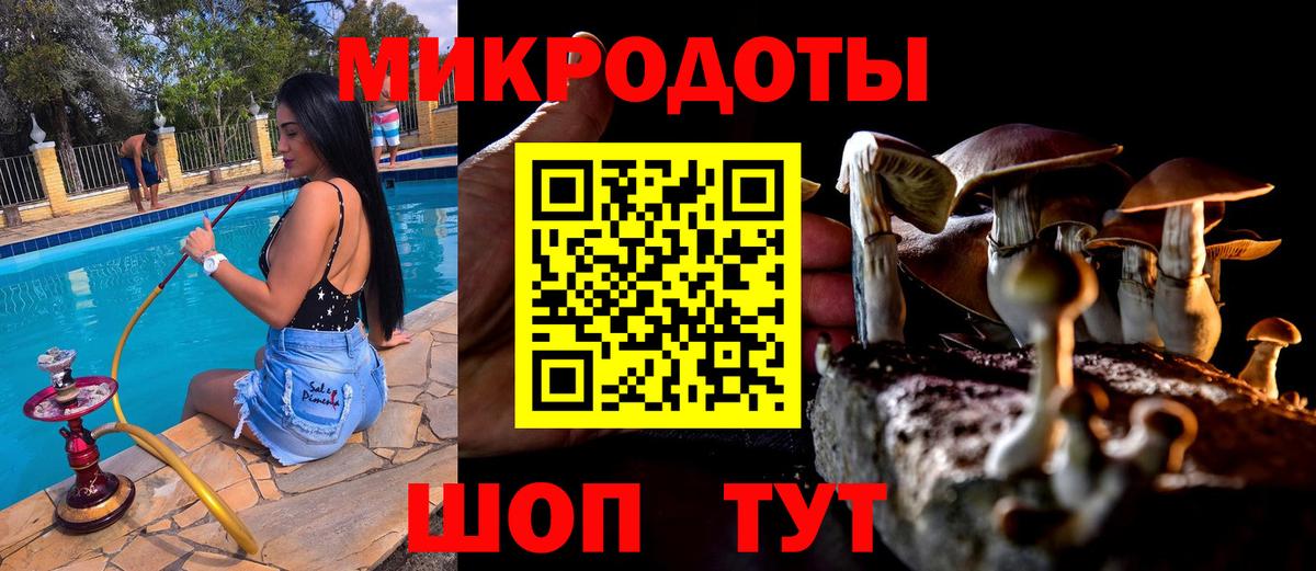 Псилоцибиновые грибы прущие грибы Евпатория